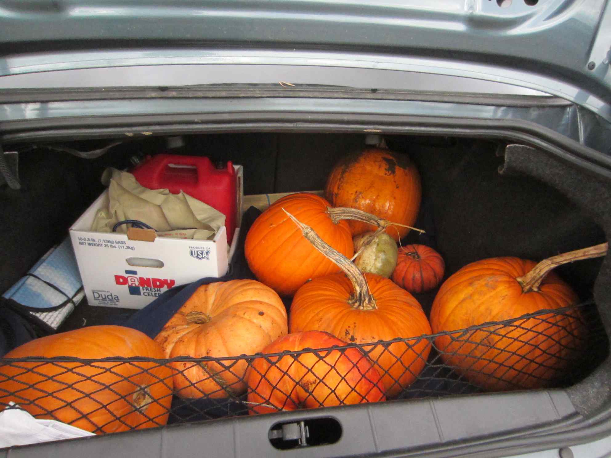 Trunk of pumpkins