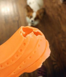 Chewed up toy with dog in background