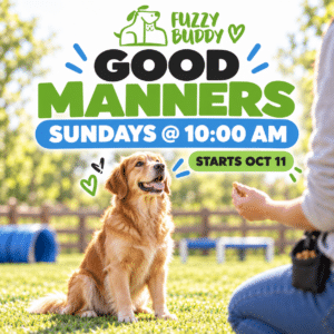 Good Manners Class