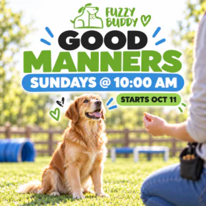 Good Manners Class