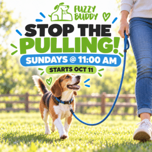 Stop the Pulling! Leash Walking Skills