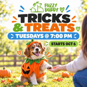 Tricks & Treats